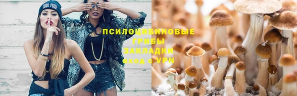 бошки Алзамай