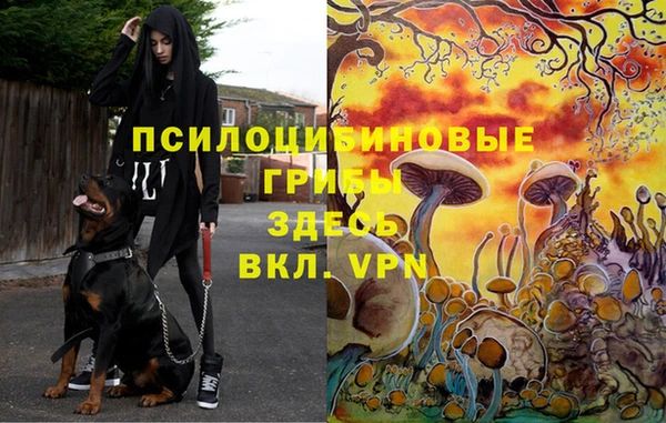 apvp Алексеевка
