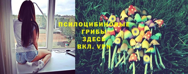 бошки Алзамай