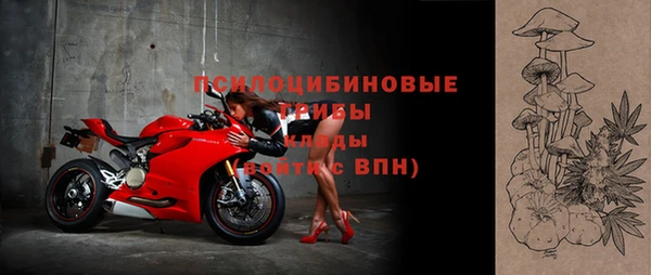 дмт Алексин